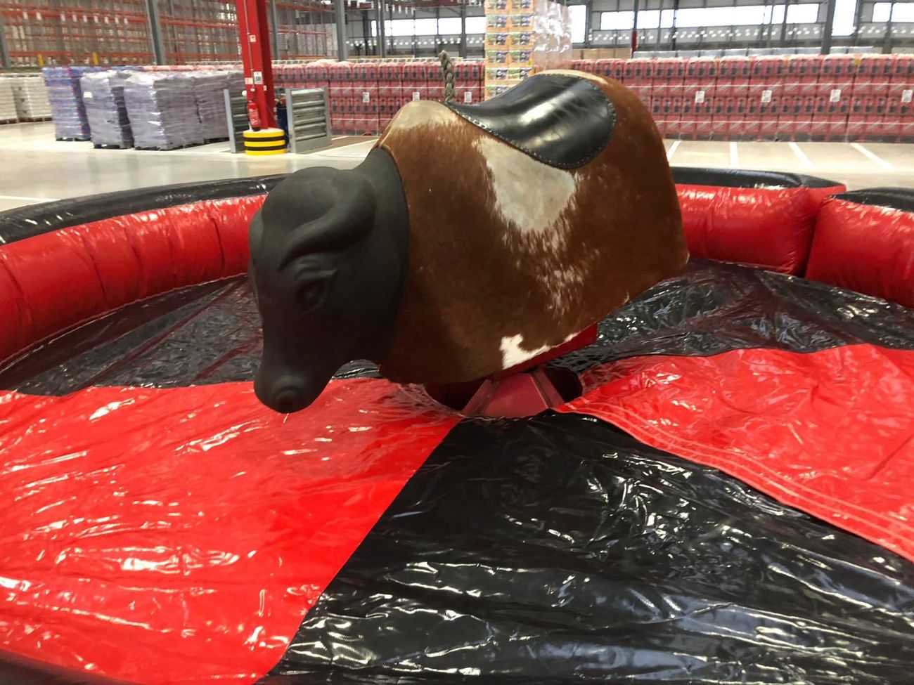 Detail of the bull showing the hide pattern, saddle, horns and rope handle