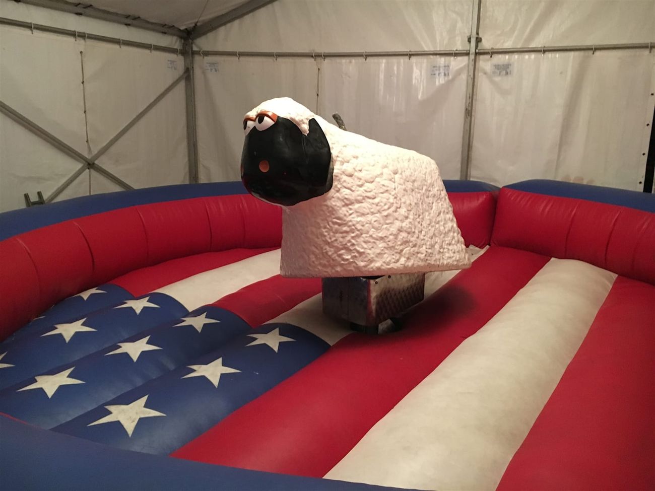 Mechanical rodeo sheep on its base, showing the white fleece body and black head