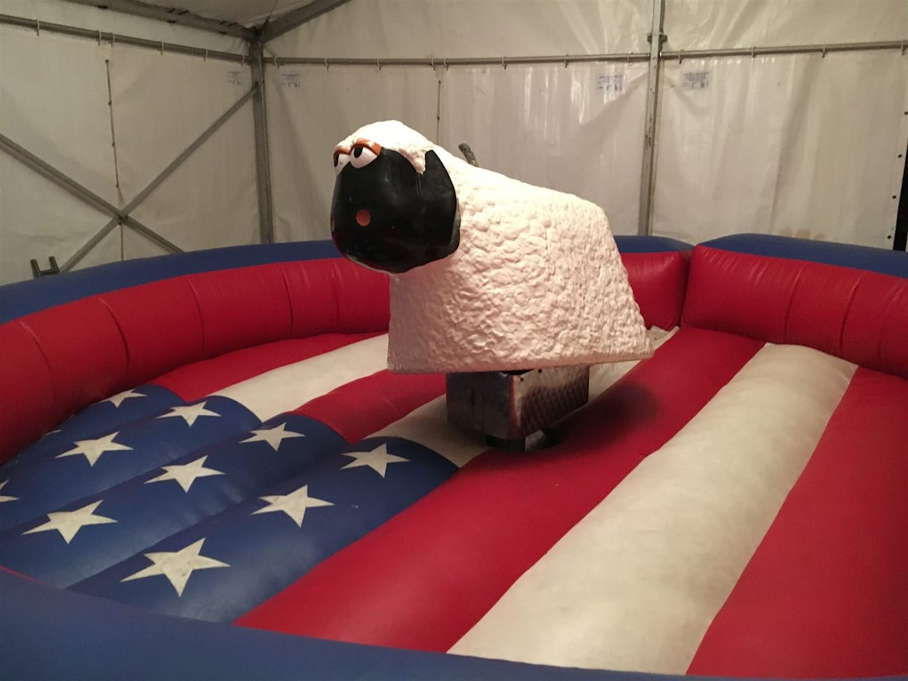 The rodeo sheep on its inflatable safety bed, showing the full structure with the padded surround